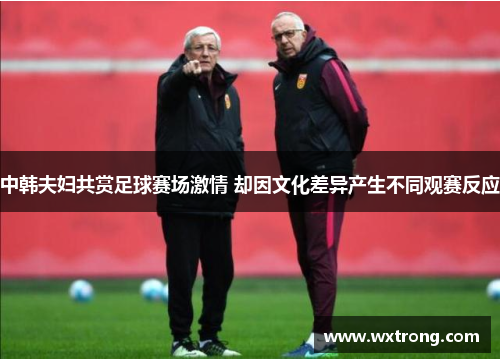 中韩夫妇共赏足球赛场激情 却因文化差异产生不同观赛反应