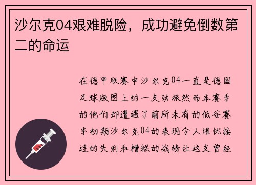 沙尔克04艰难脱险，成功避免倒数第二的命运