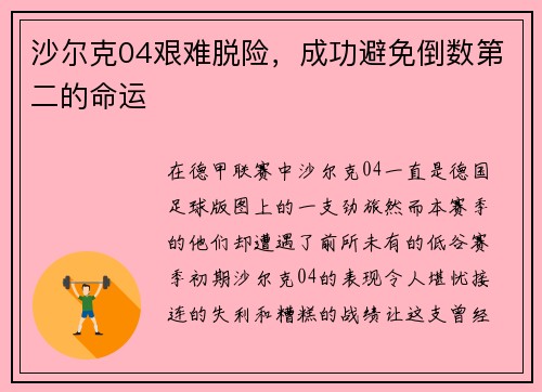 沙尔克04艰难脱险，成功避免倒数第二的命运